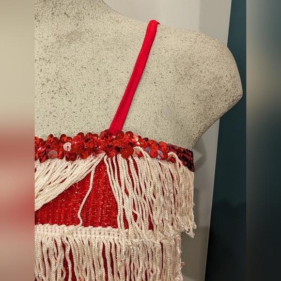 Women’s Red sparkle Fringe 1920’s Flapper Great Gatsby Costume Dress Size XS/S - Picture 14 of 14